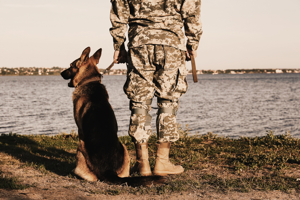 Man in military uniform with German shepherd dog outdoors