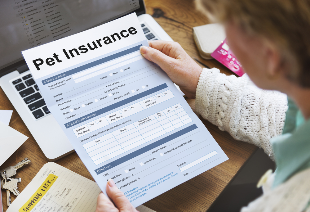 woman reviewing pet insurance papers