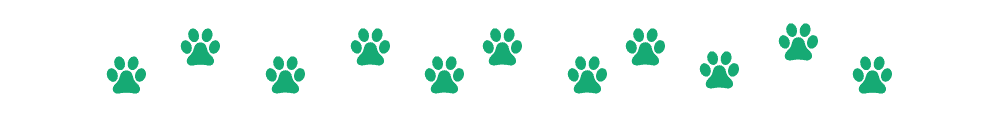 divider-paw