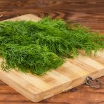 Can Canines Eat Dill? Vet-Verified Weight loss plan Particulars & Preparation Ideas – Dogster