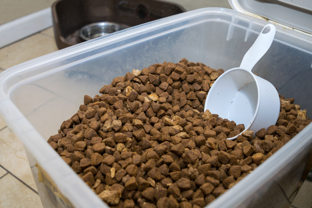 Can I Feed My Canine Retailer-Bought Kibble? Vet-Approved Eating regimen Info – Dogster