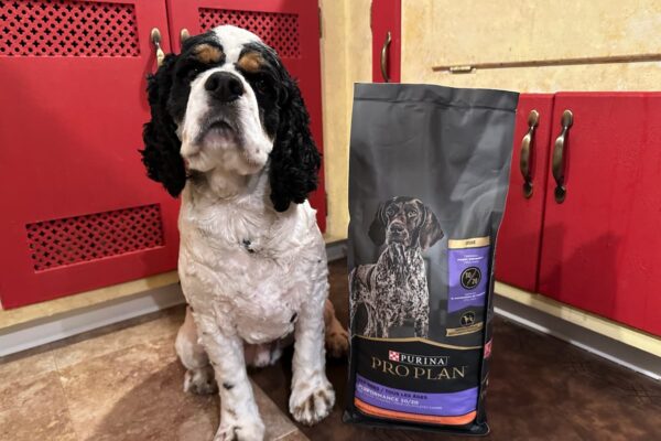 Purina Skilled Plan Sport Canine Meals Consider – Vetstreet