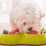 7 Best Raw Canine Meals Formulation of 2025 – Vetstreet