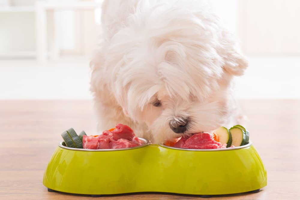 7 Best Raw Canine Meals Formulation of 2025 – Vetstreet